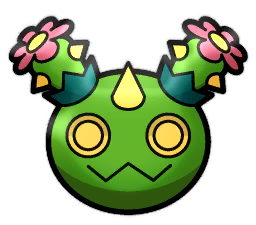 Maractus