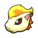 ponyta